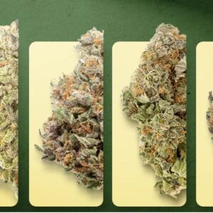 Angebotspaket (alle 5 Strains – 45G)