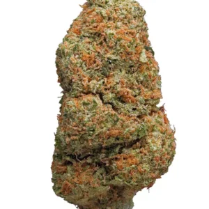 Northern light