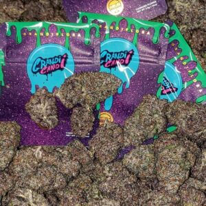 Grandi Candi Strain