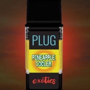 PINEAPPLE COOLER