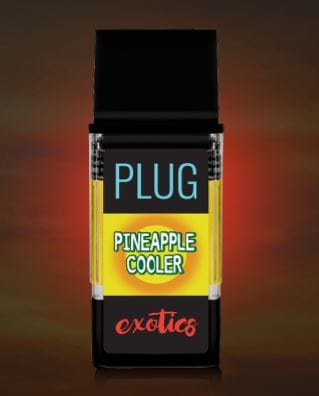Pineapple-cooler-1.jpg