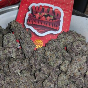 Wild Thornberrys Strain