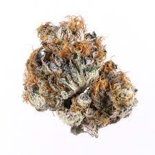 Blueberry Weed Strain
