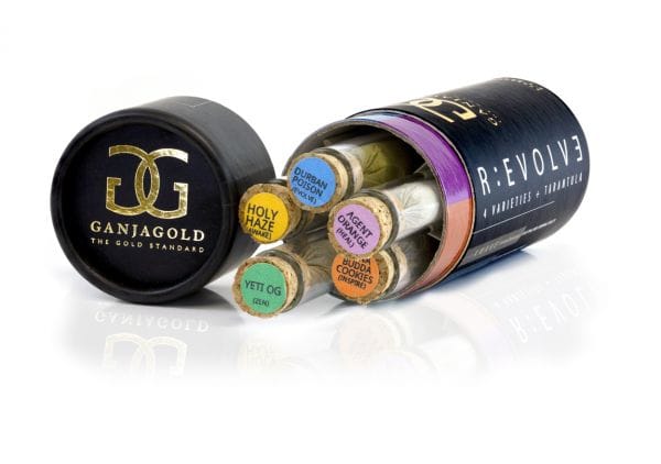 gg_revolve-600x422-1.jpg