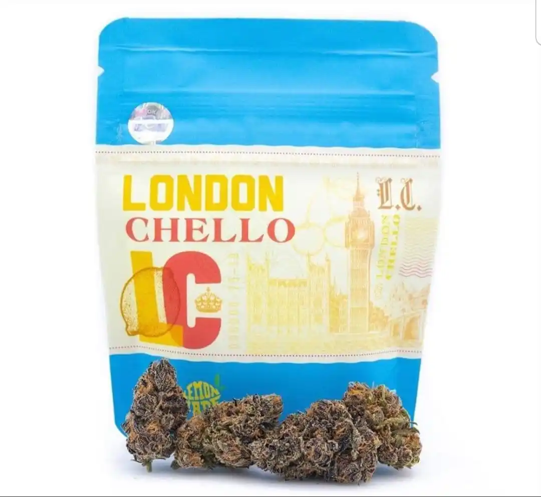 london-chello.webp