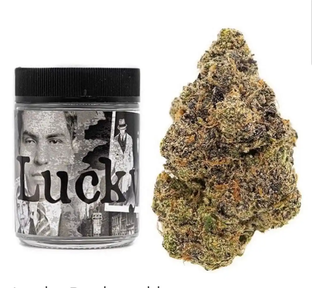 lucky.webp