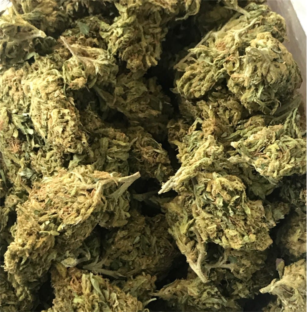 sour-diesel__primary_9855-2.jpg