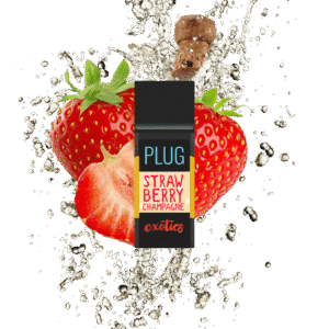 STRAWBERRY CHAMPAGNE