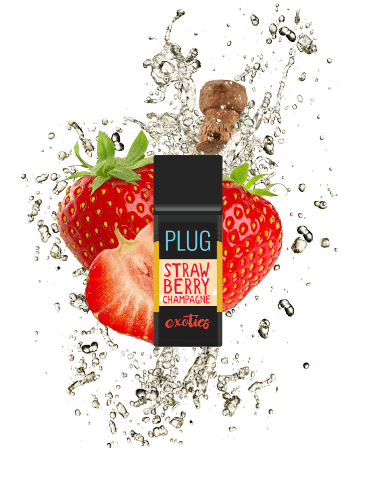 strawberrychampagne_web-.png